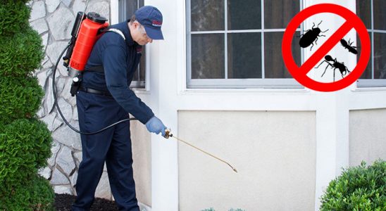 Yıldızeli Dezenfeksiyon böcek ilaçlama ve haşere kontrolü — ilaclama-tr.com